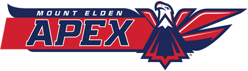 APEX logo 
